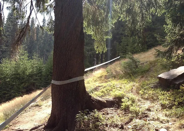 Appartement In Castle Complex Pamporovo